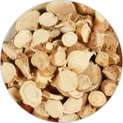 Sophorae flavescens.jpg